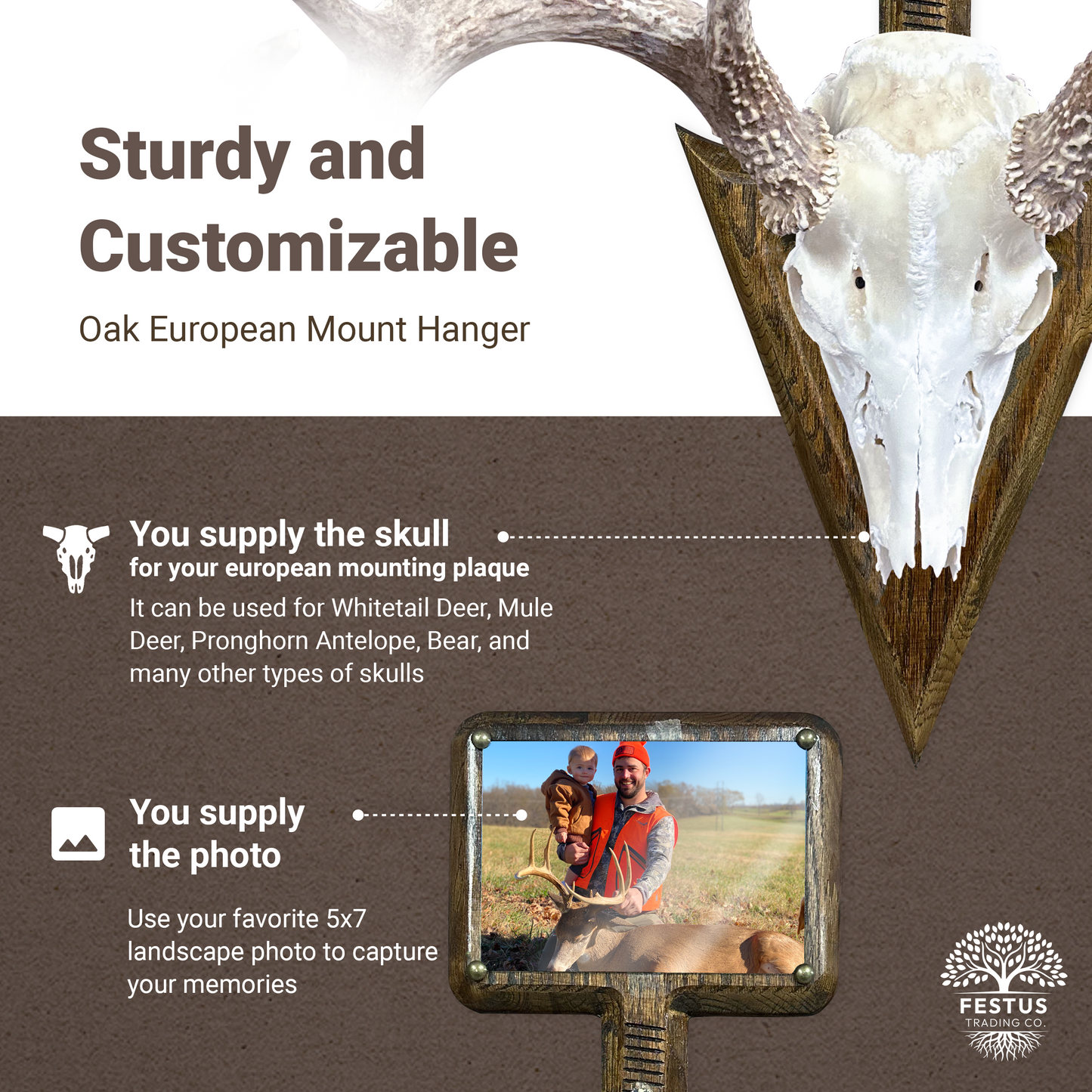 Rustic Arrowhead European Mount with 5x7 Wooden Picture Frame – Hunting Skull Hanger, Antler & Deer Mount Display, Made in USA