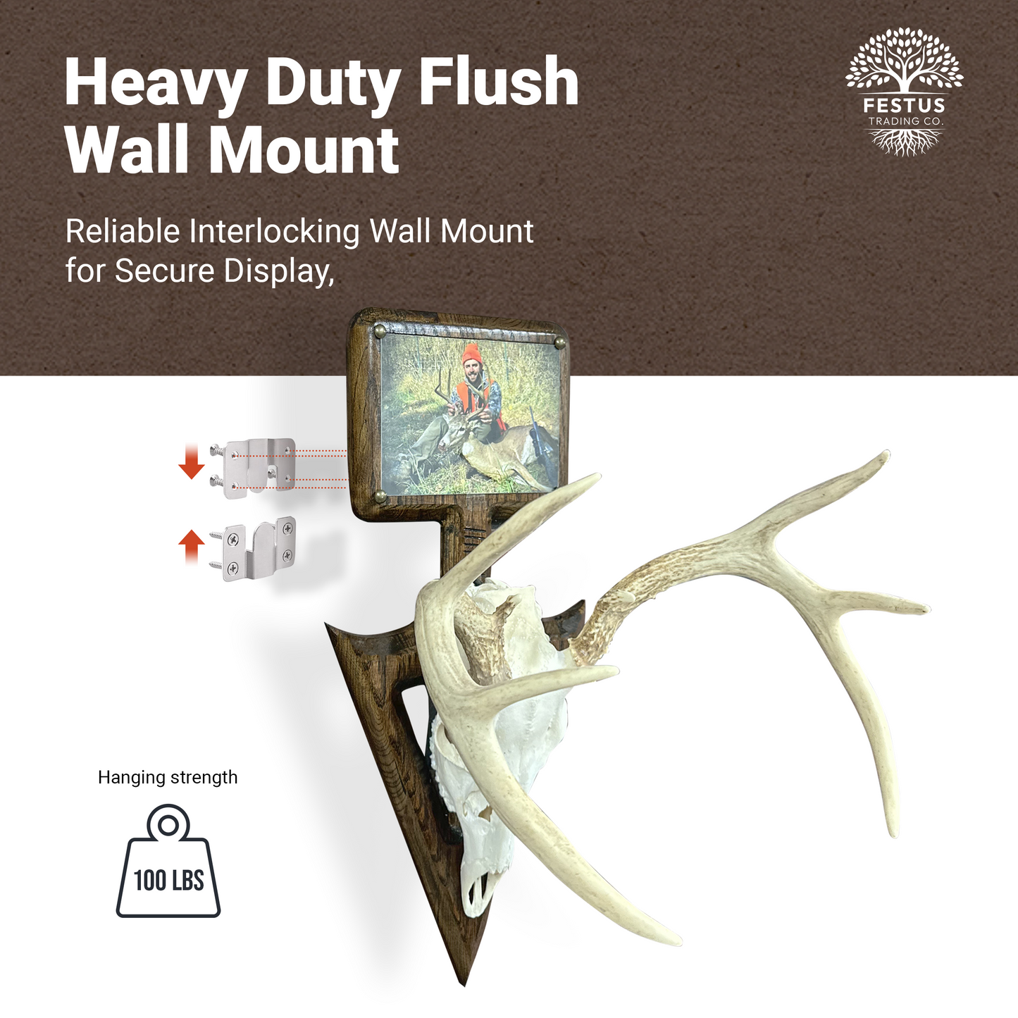 Rustic Arrowhead European Mount with 5x7 Wooden Picture Frame – Hunting Skull Hanger, Antler & Deer Mount Display, Made in USA