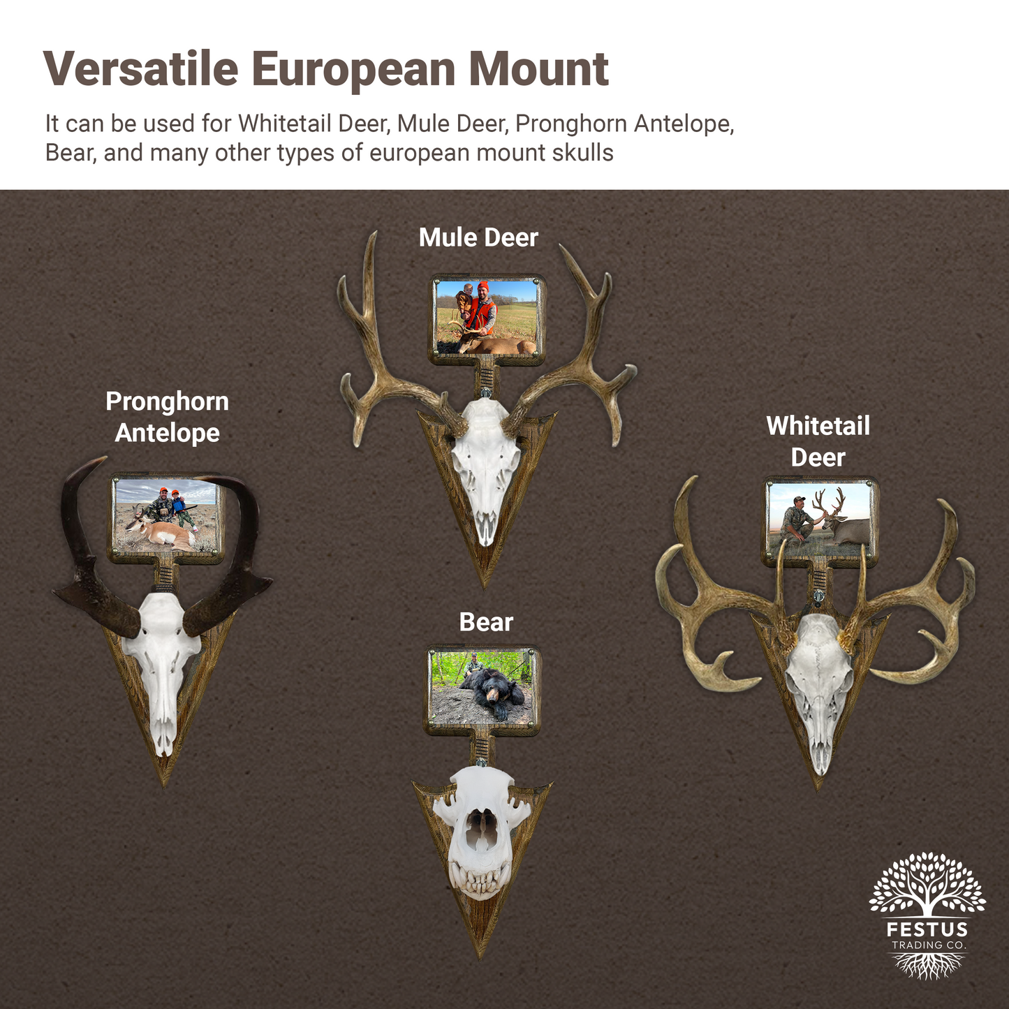 Rustic Arrowhead European Mount with 5x7 Wooden Picture Frame – Hunting Skull Hanger, Antler & Deer Mount Display, Made in USA