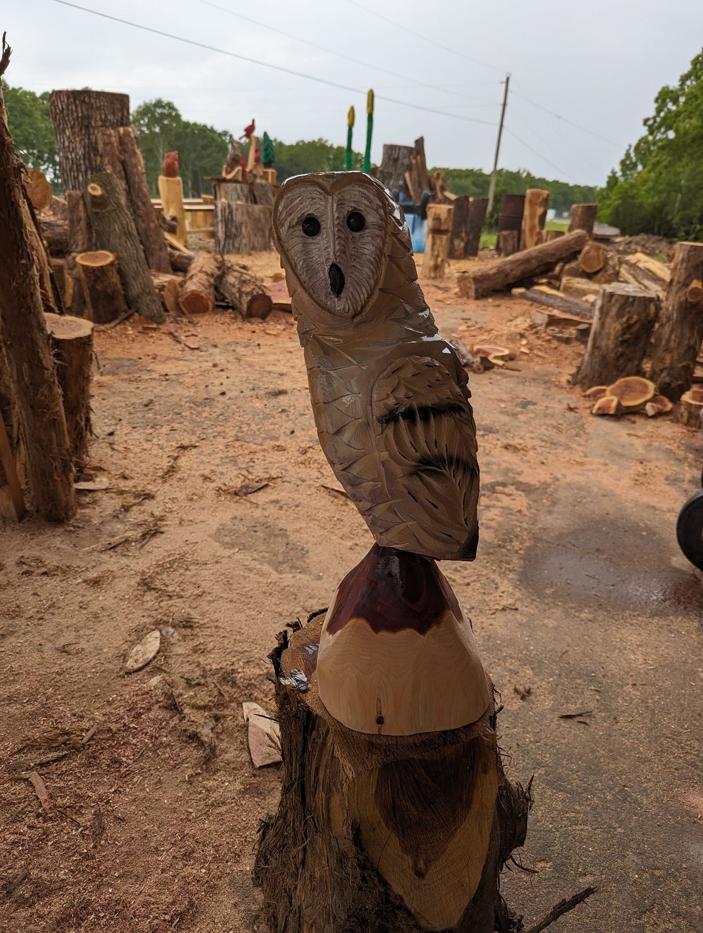 Barn Owl Chainsaw Carving on Cedar Stump – Rustic Handmade Wooden Owl Décor – Wildlife Wood Sculpture Gift