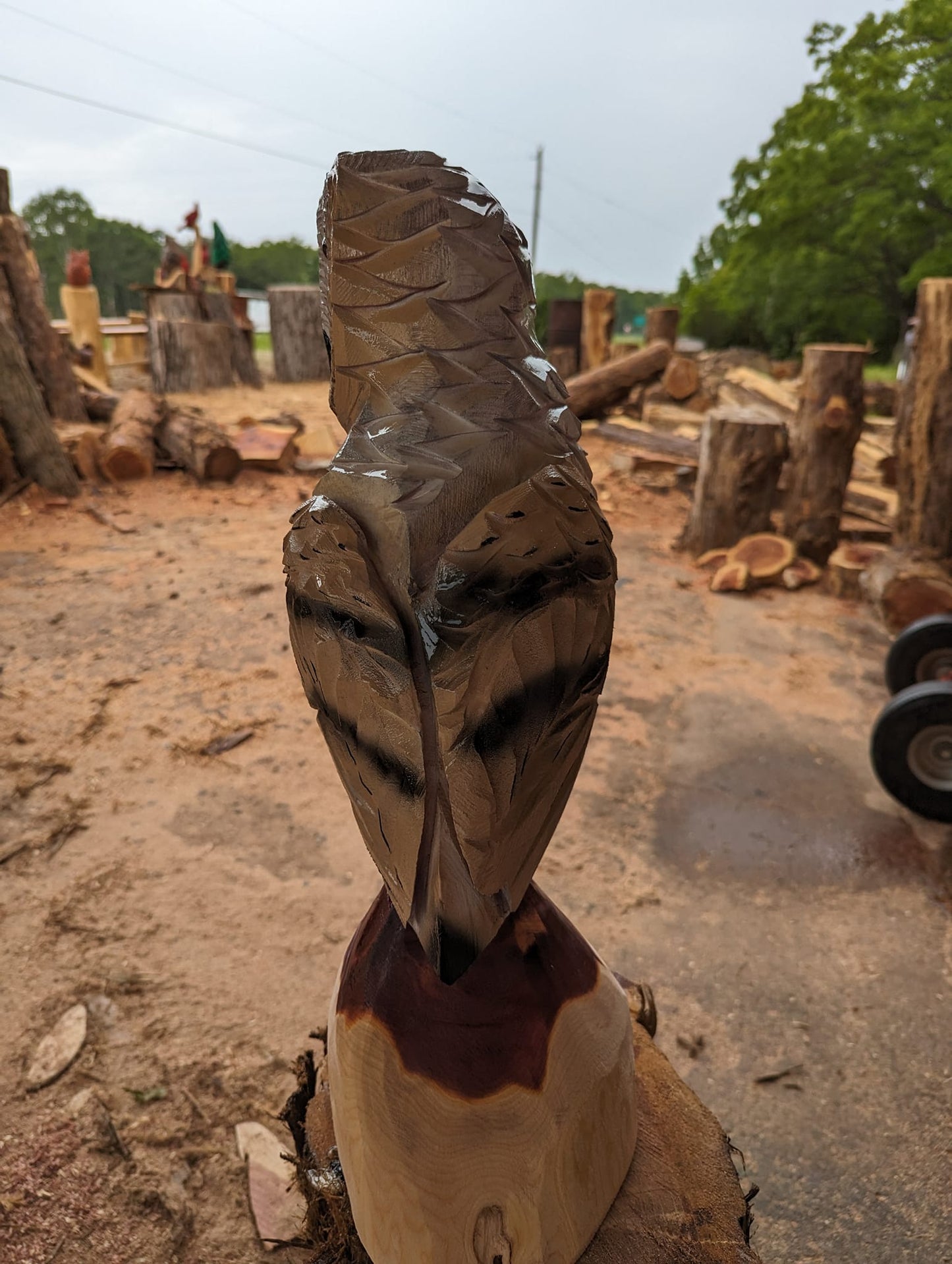 Barn Owl Chainsaw Carving on Cedar Stump – Rustic Handmade Wooden Owl Décor – Wildlife Wood Sculpture Gift
