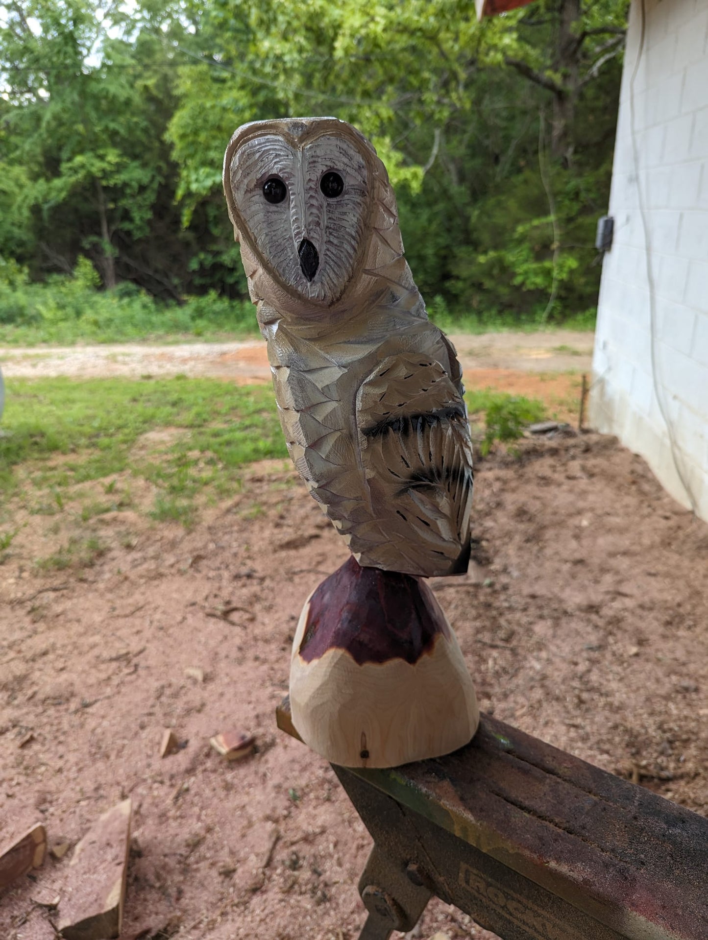 Barn Owl Chainsaw Carving on Cedar Stump – Rustic Handmade Wooden Owl Décor – Wildlife Wood Sculpture Gift