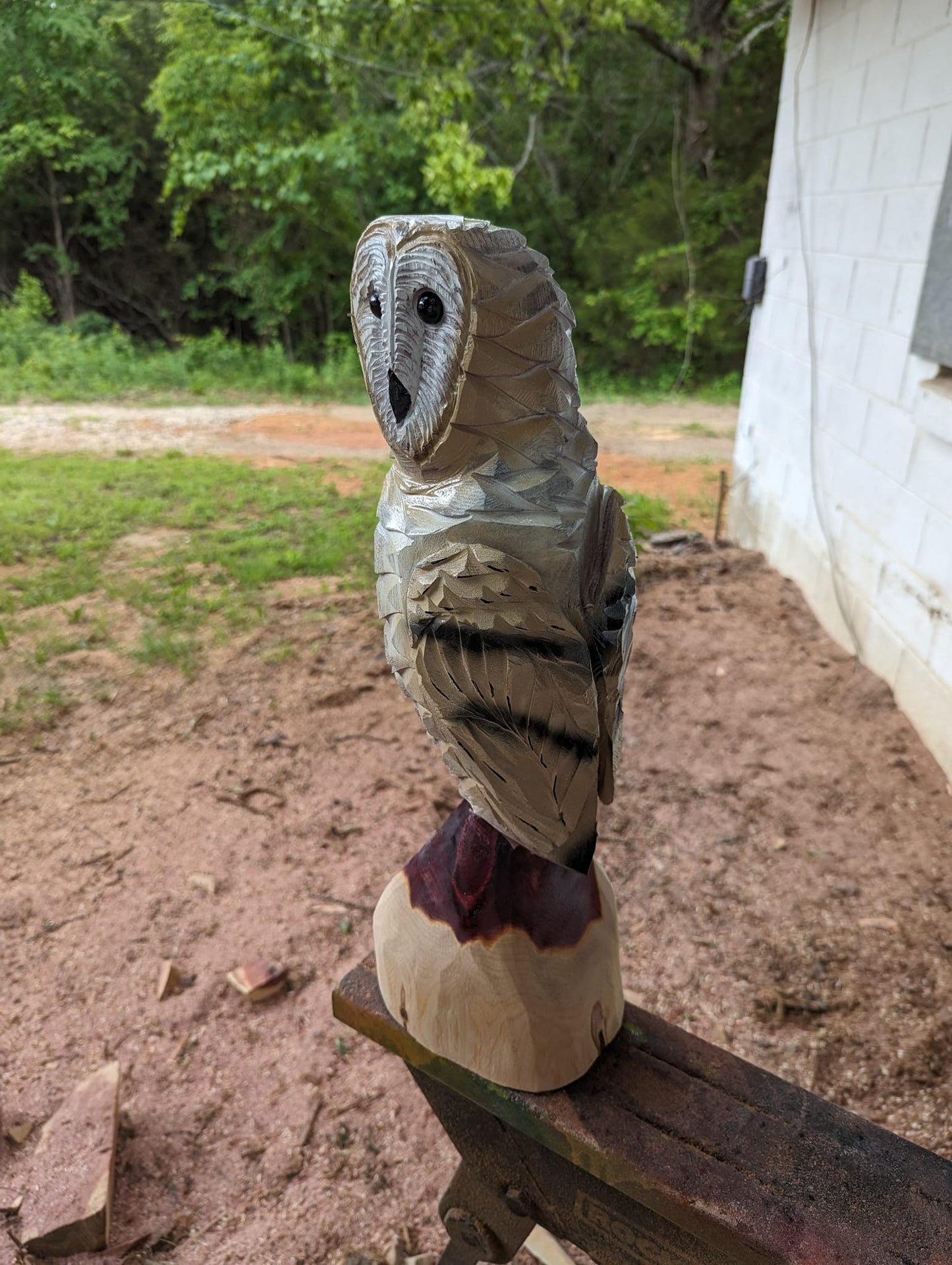 Barn Owl Chainsaw Carving on Cedar Stump – Rustic Handmade Wooden Owl Décor – Wildlife Wood Sculpture Gift