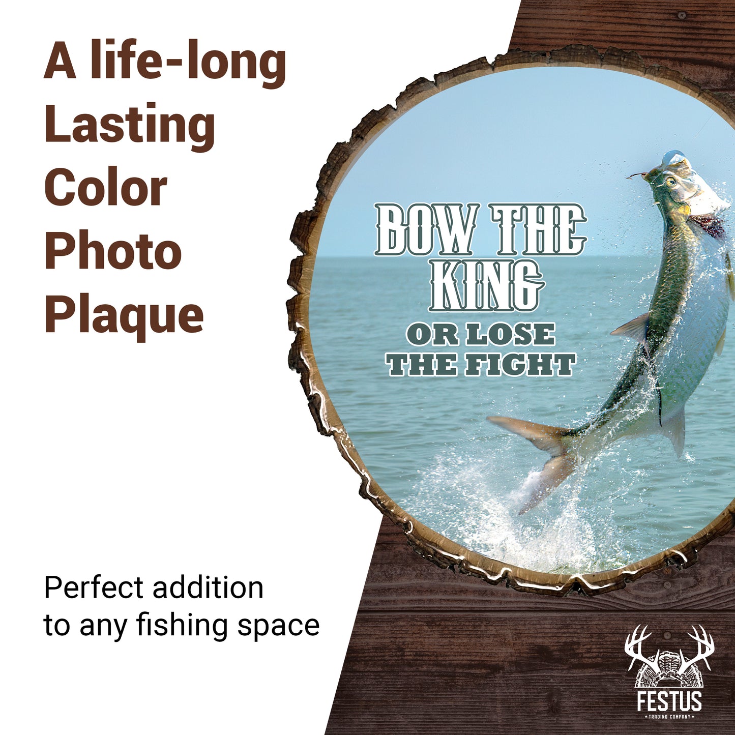 Tarpon Portrait Fishing Photo Plaque – Durable Glossy Epoxy Resin Finish, Rustic Live Edge Wood Wall Décor for Cabin, Lodge & Lake House