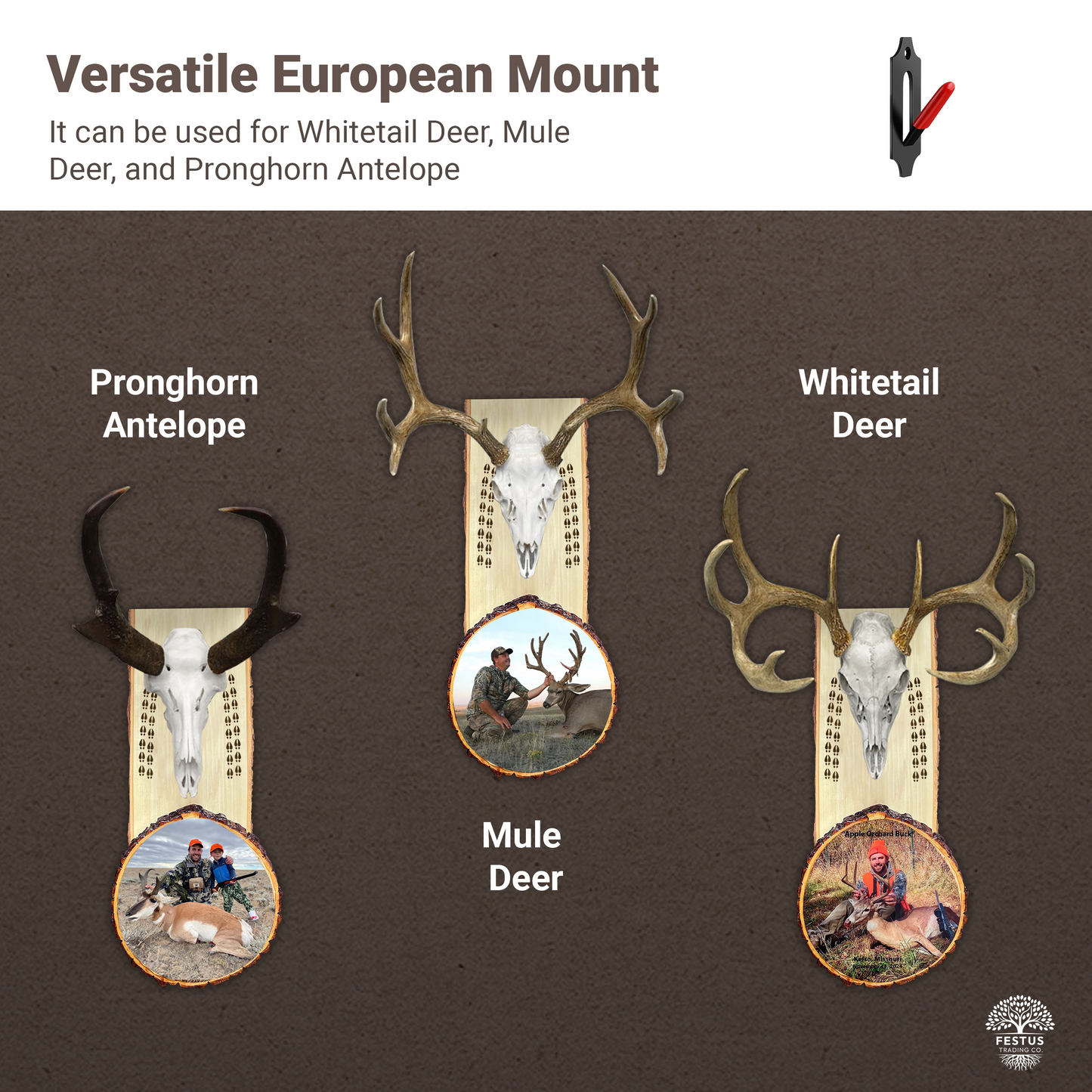 European Mount Plaque with Custom Photo