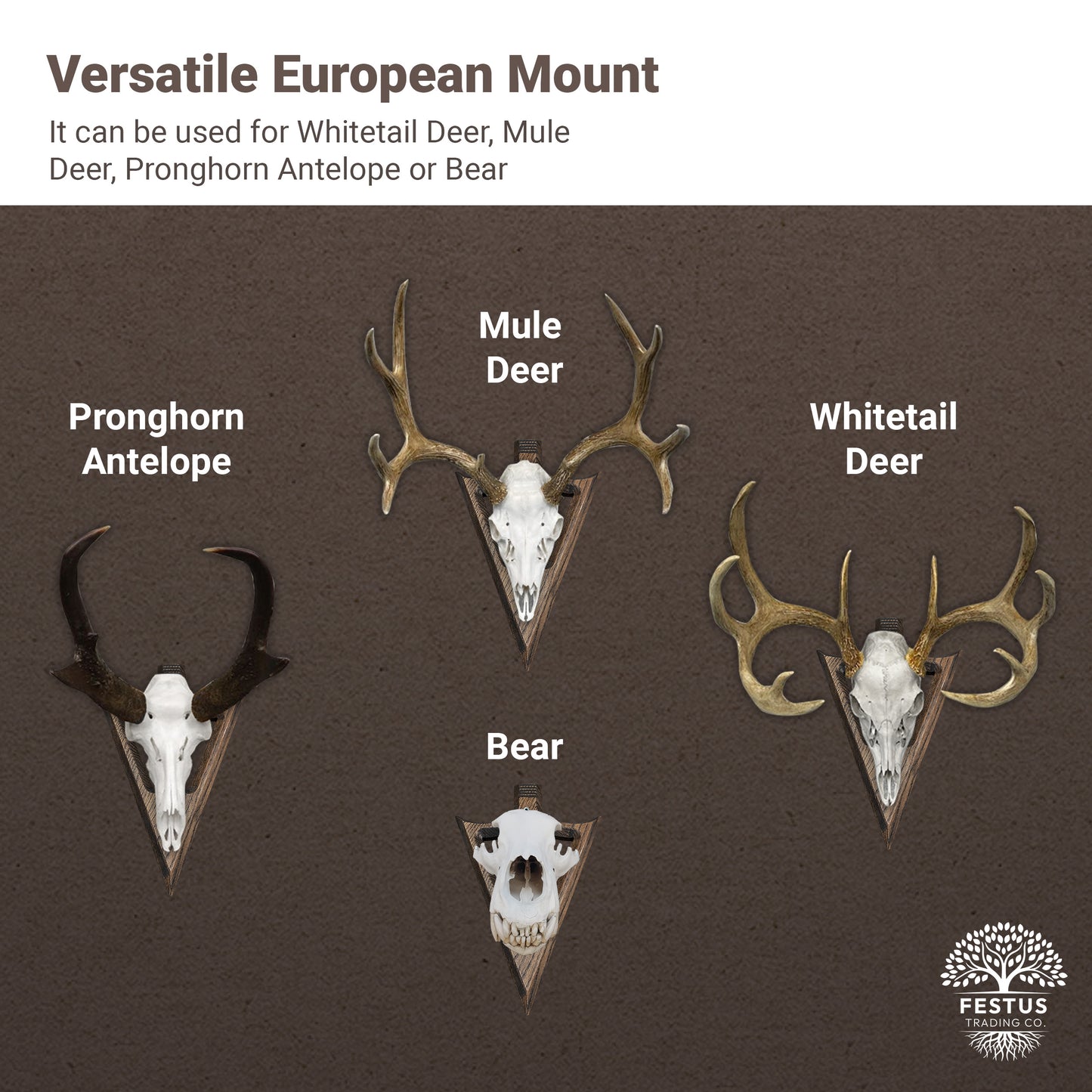 Swan Neck Arrowhead European Mount Plaques (State Base) with Epoxy Resin Finish - Custom Color Photo, Deer Stand Brackets, Sturdy Multi-Species Skull Hanger for Deer, Turkey Tail Mounting Plaque, Skull Hookers, Made in the USA