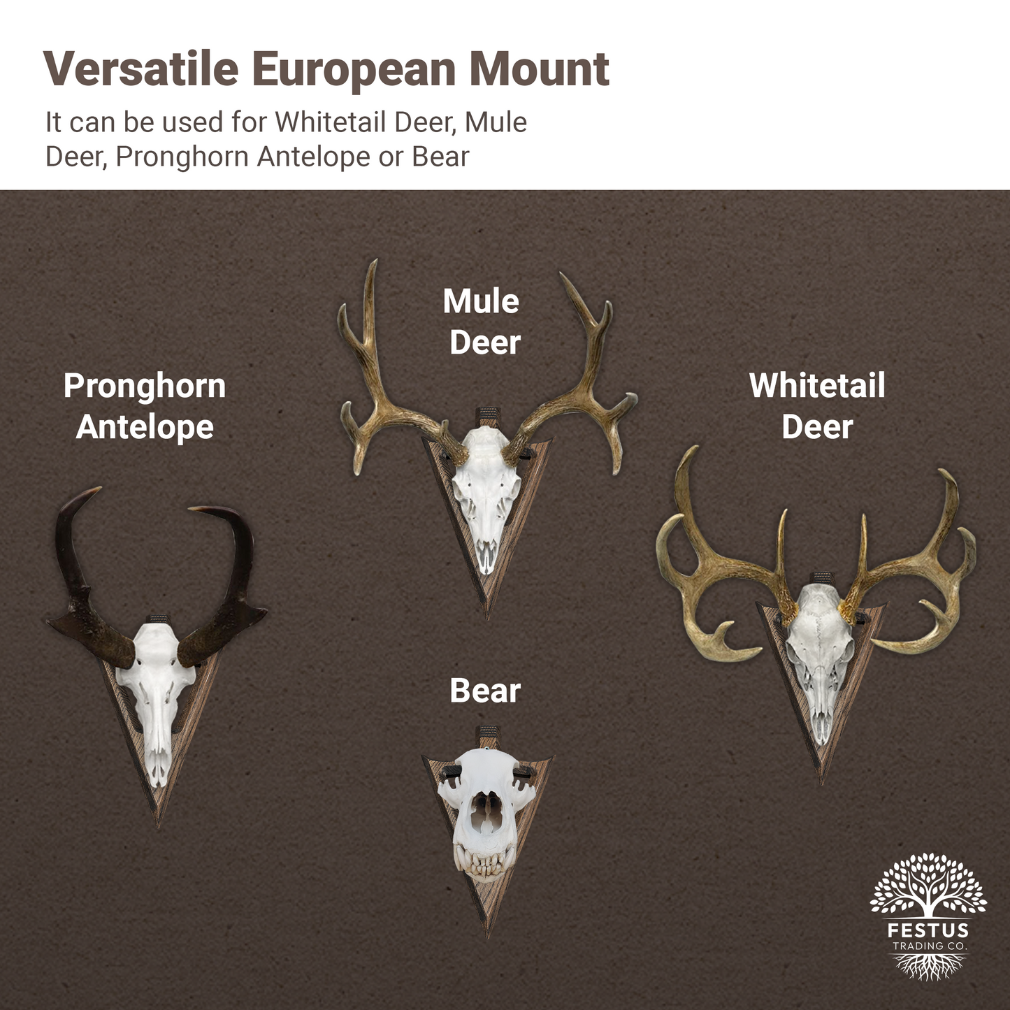 Swan Neck Arrowhead Skull Mount (Circle Base)