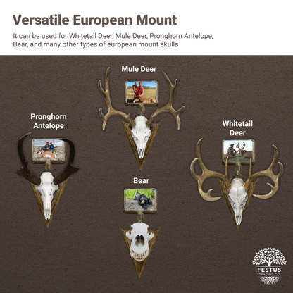Rustic Arrowhead European Mount with 5x7 Wooden Picture Frame – Hunting Skull Hanger, Antler & Deer Mount Display, Made in USA
