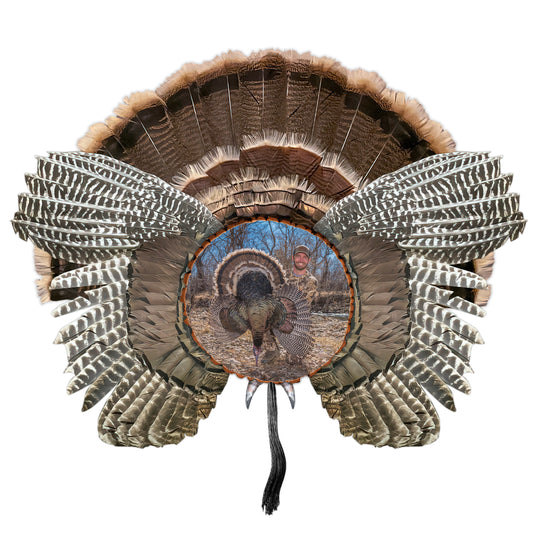 Custom Turkey Fan Mount Kit with Color Photo – Turkey Fan with Photo - Upload Your Photo - Customized Turkey mount