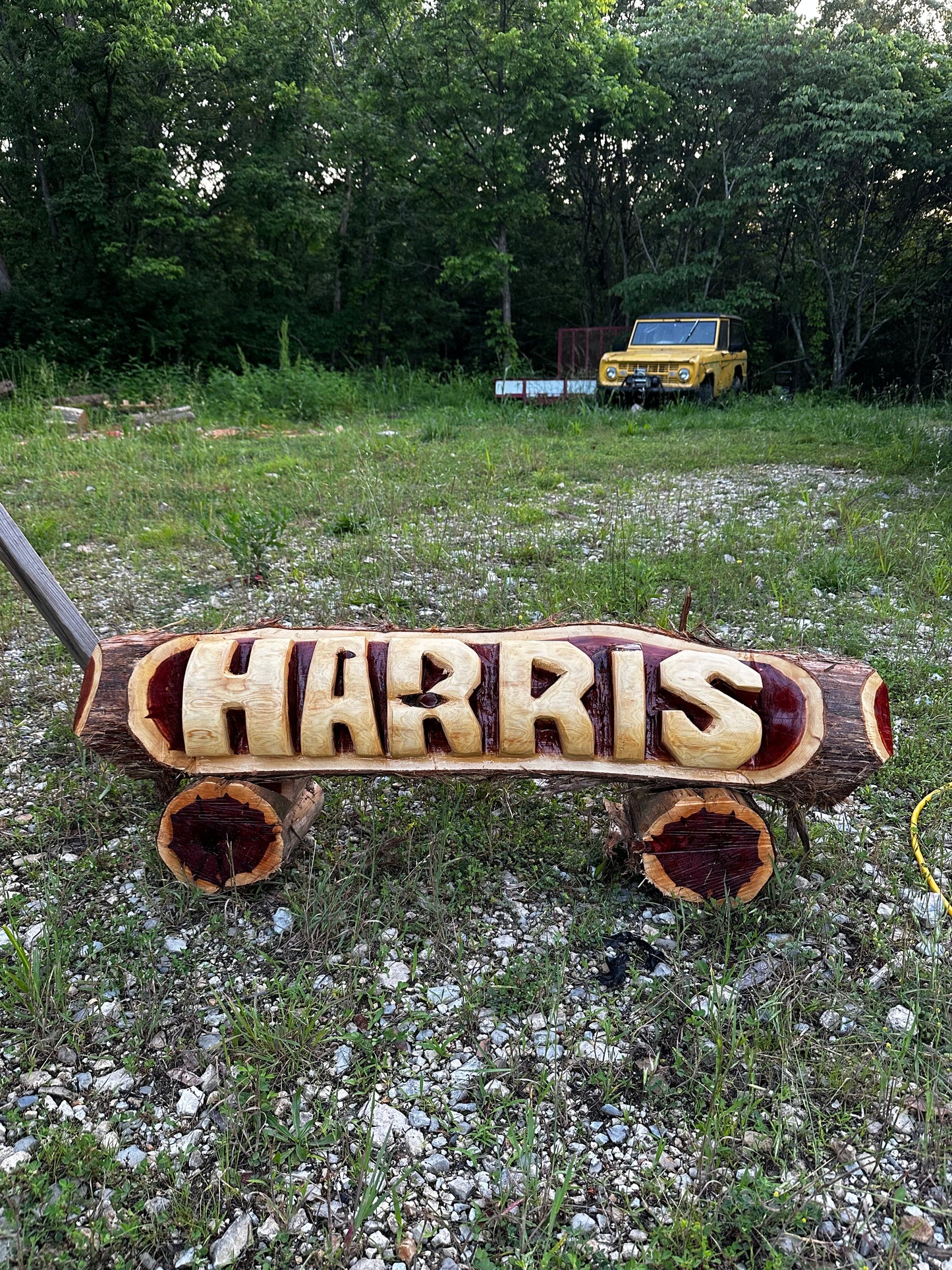 Custom Chainsaw-Carved Cedar Name Log