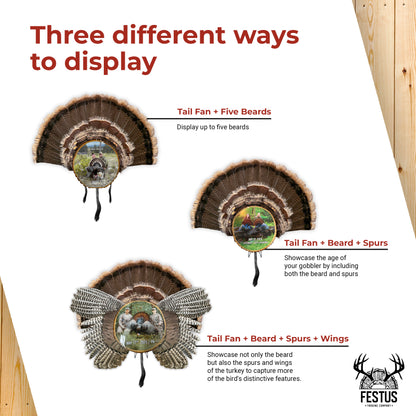 Custom Turkey Fan Mount Kit with Color Photo