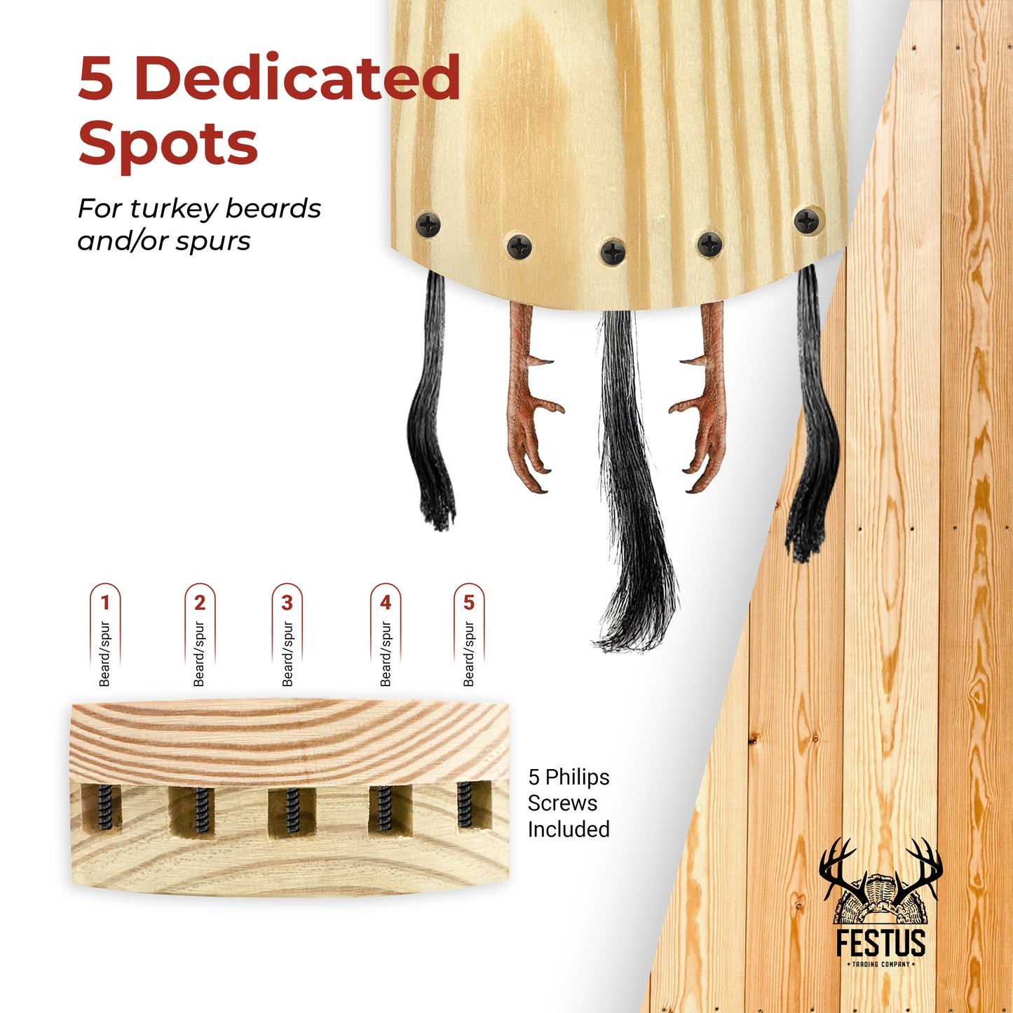 Custom Turkey Fan Mount Kit with Color Photo