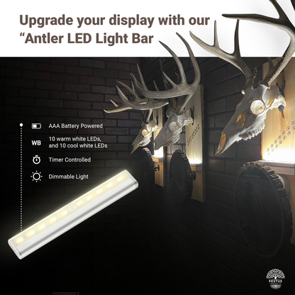 European Mount Plaque with Custom Photo