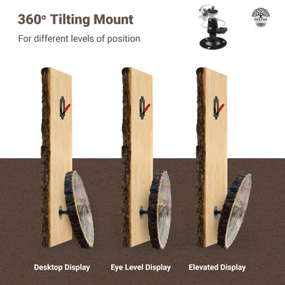 European Mount Plaque with Custom Photo