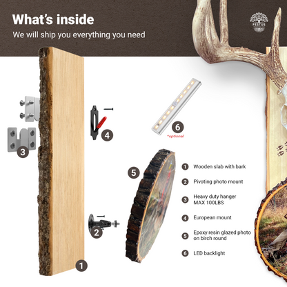 European Mount Plaque with Custom Photo