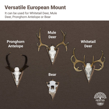 Swan Neck Arrowhead Skull Mount (State Base)